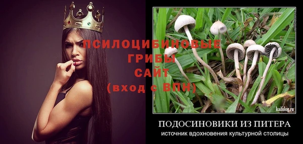 прущий лед Козельск